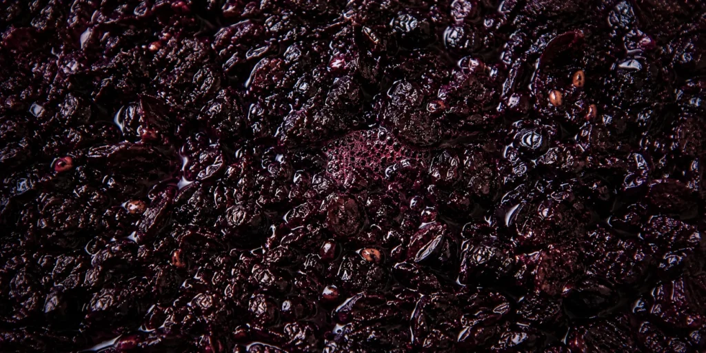 Red grape must during fermentation, showing skins and juice used to extract color, texture, and structure