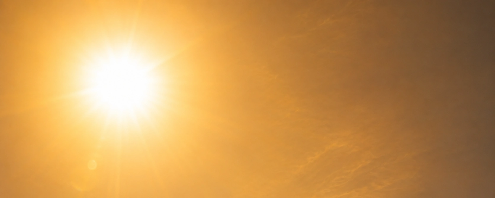 Bright Texas sun over a warm vineyard landscape, illustrating heat and sunlight in Texas winegrowing